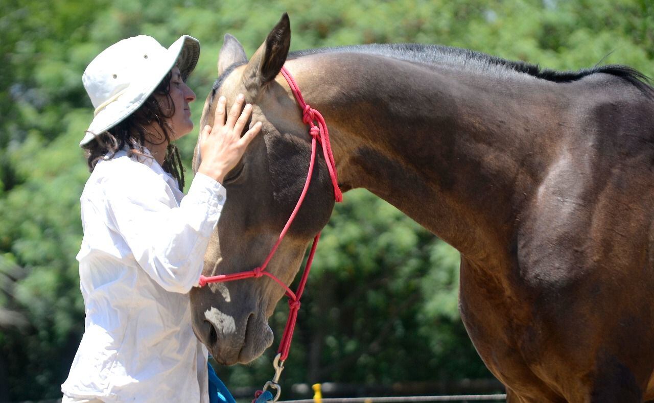 Lucia Buteler con Galeno Liberal (Padrillo Akhal Teke).