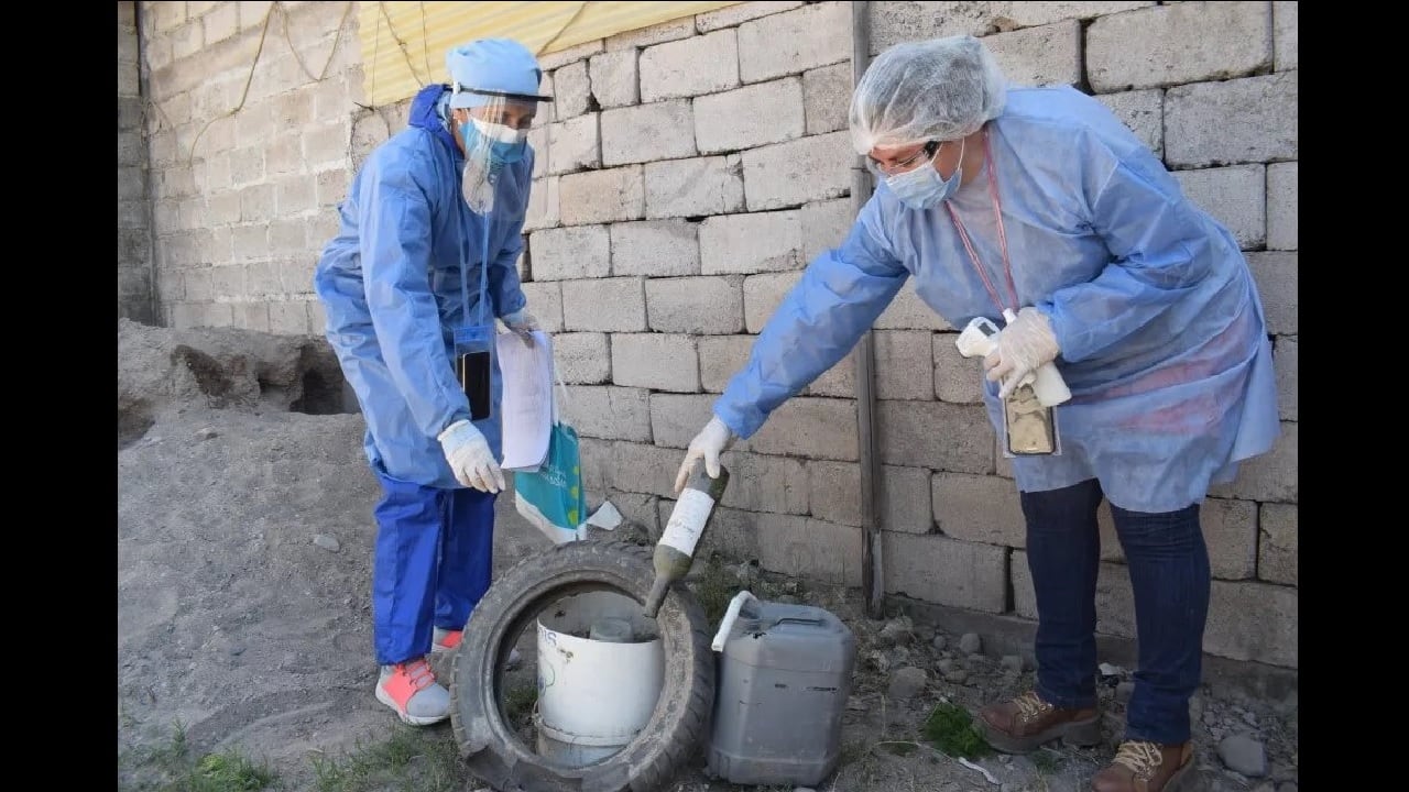 Las precipitaciones pluviales características de esta época en la zona favorecen la proliferación del mosquito transmisor del dengue por lo que se debe eliminar recipientes que permanecen a la intemperie.