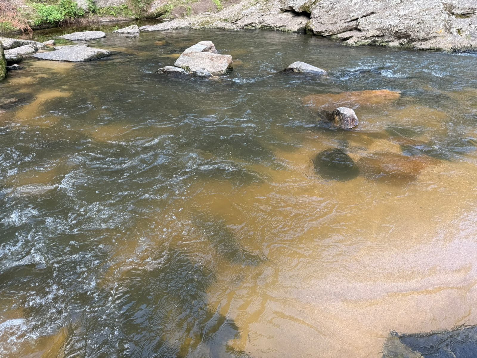 Presencia de líquidos cloacales en el Río del Medio, en La Cumbrecita. (Gentileza)