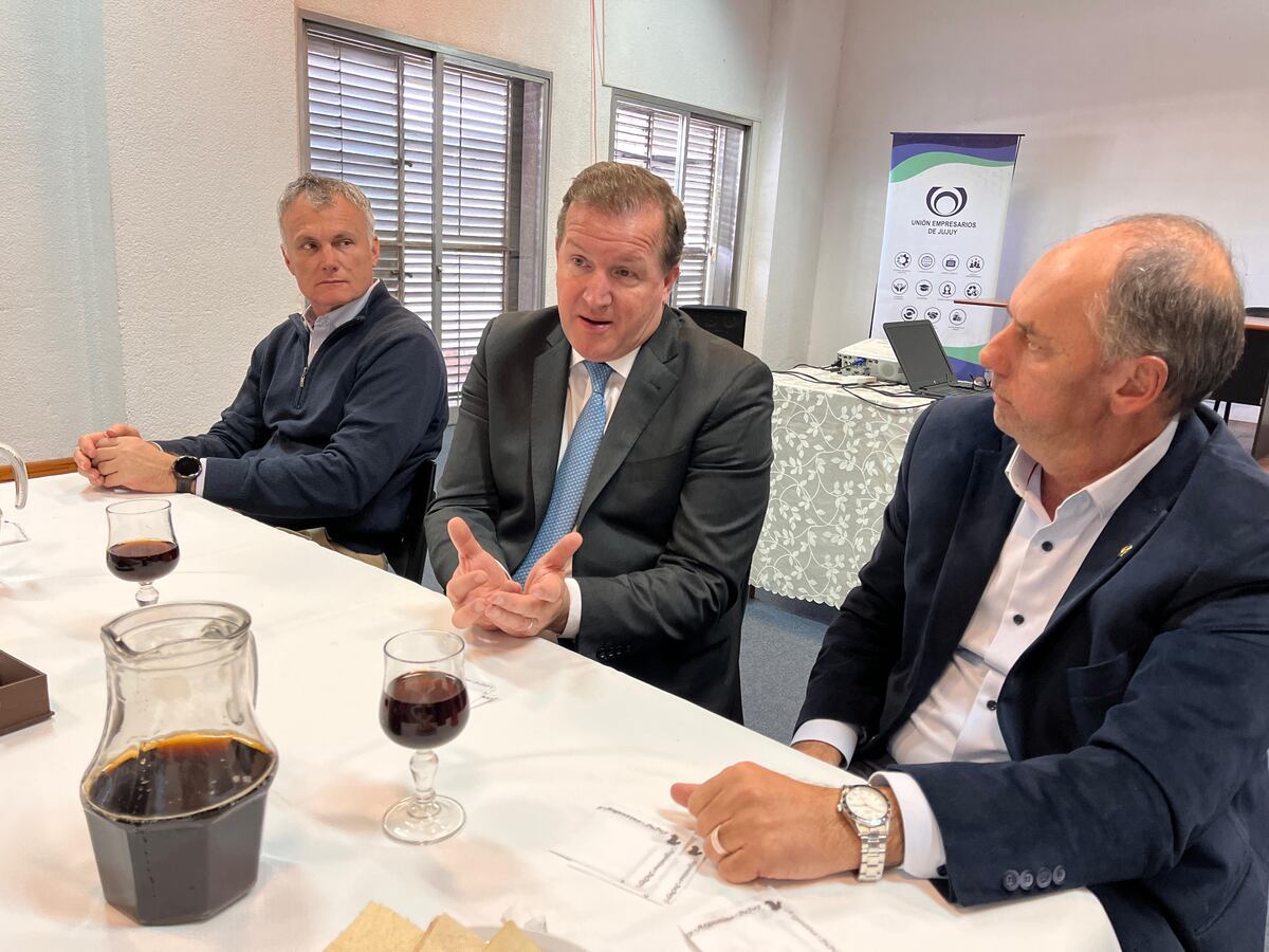 “Con el RIGI vienen las inversiones para Jujuy”, aseguró un enviado de Milei