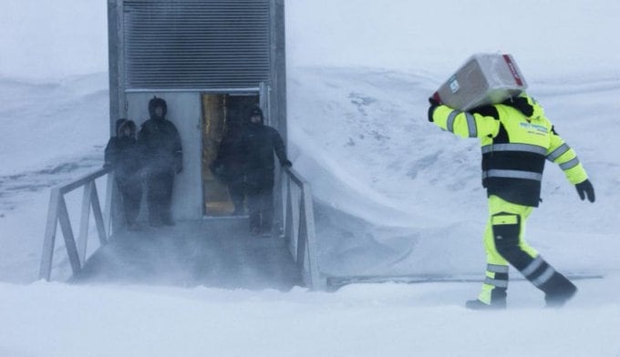 Solo unos pocos días del año se abren las puertas de "la bóveda del fin del mundo", para no exponer a las semillas de su interior a las extremas temperaturas.