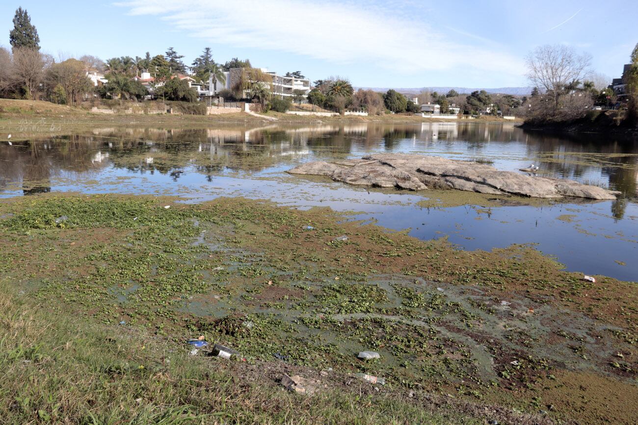 El lago San Roque presenta nuevamente algas en la superficie del agua.  (La Voz)