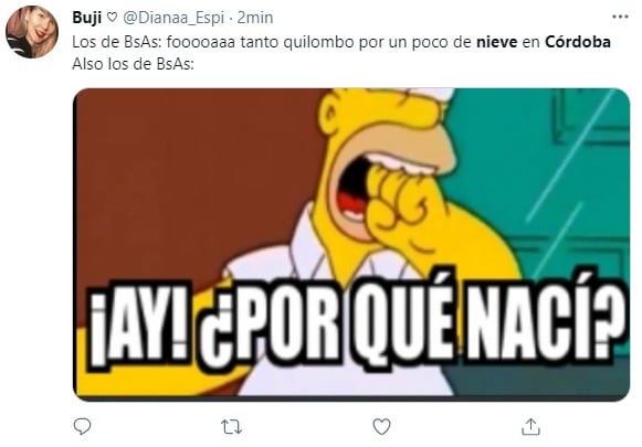 Los Simpson también sirvieron para los memes.