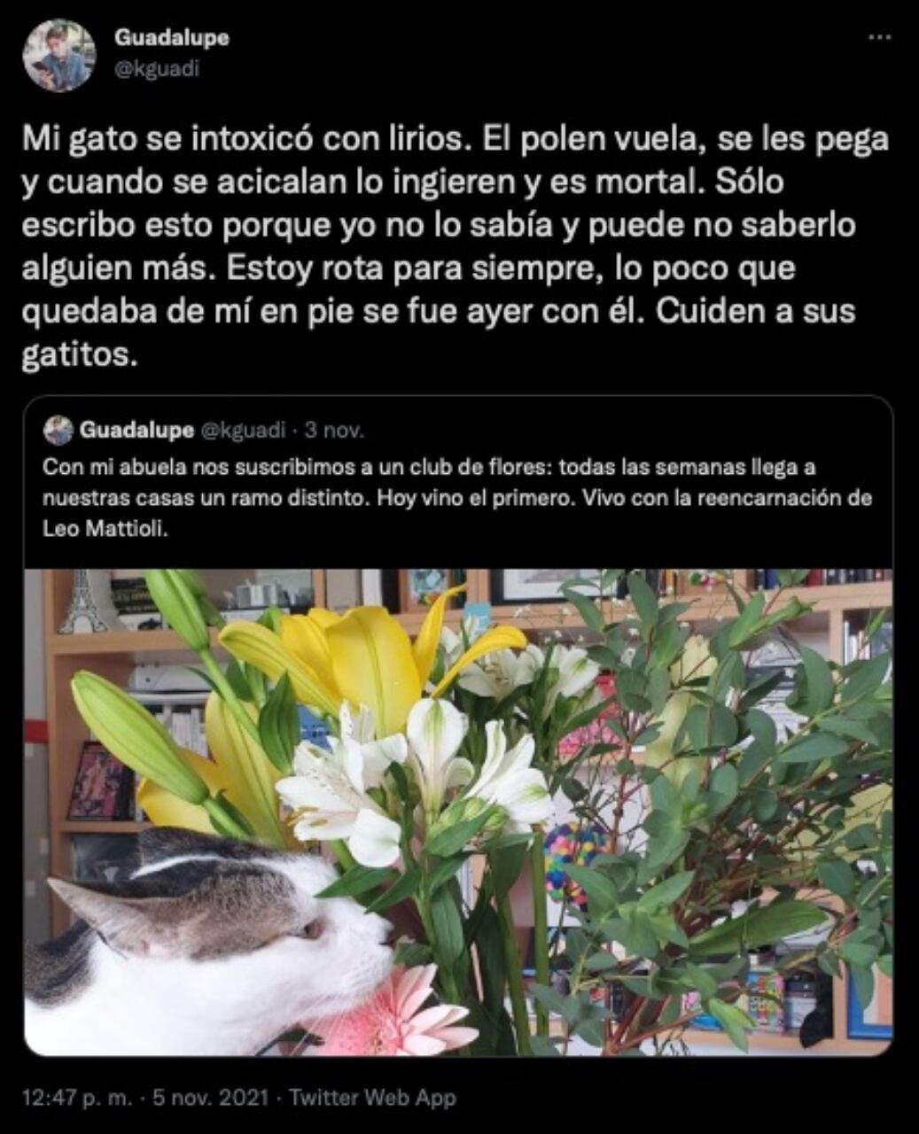 Descubrió que los lirios son venenosos para los gatos y lo compartió en Twitter