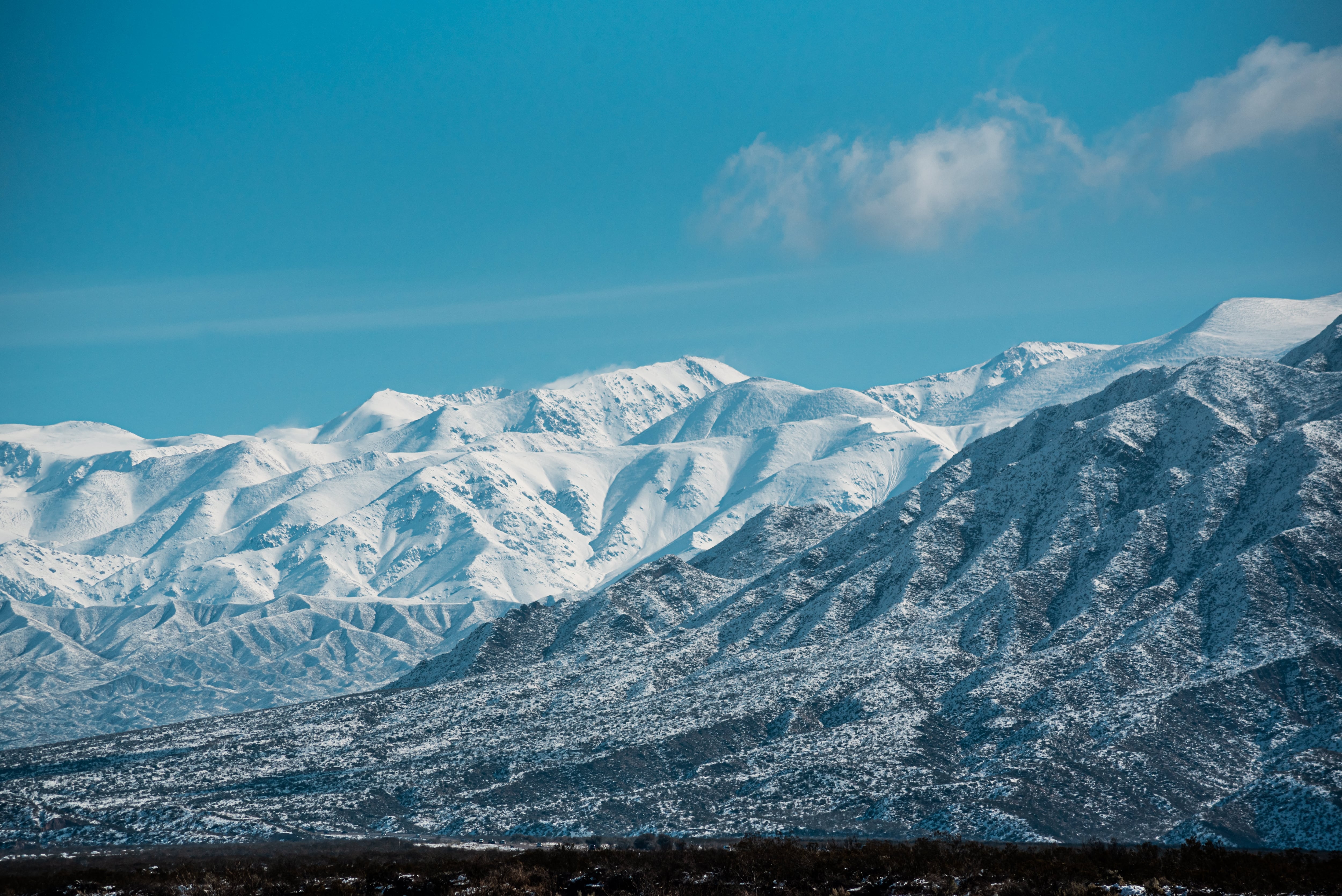 Potrerillos. Foto: Maxi Chanampe