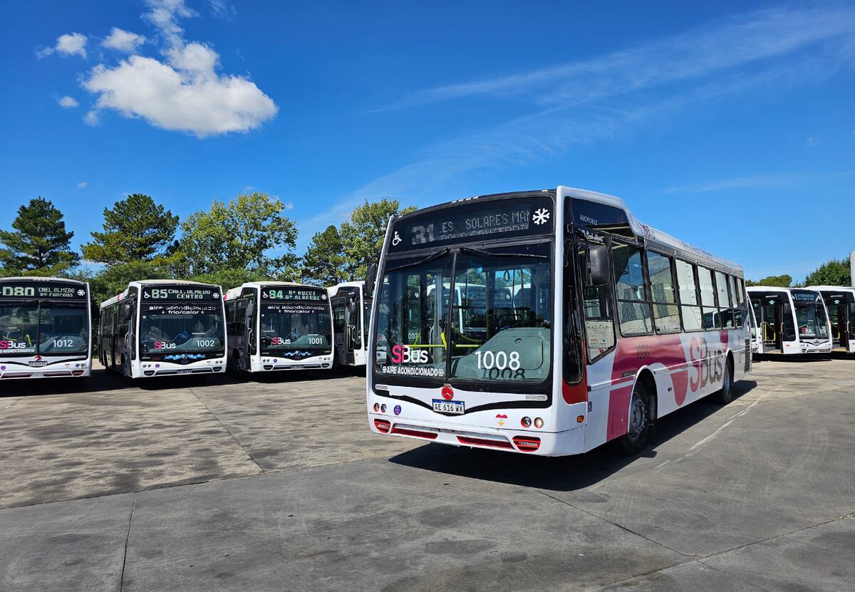 Se confirmó desde cuándo operará una nueva empresa en el transporte urbano de Córdoba