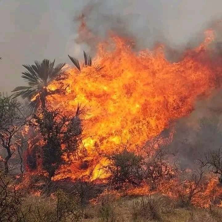 Incendio en Traslasierras participan Bomberos de Arroyito