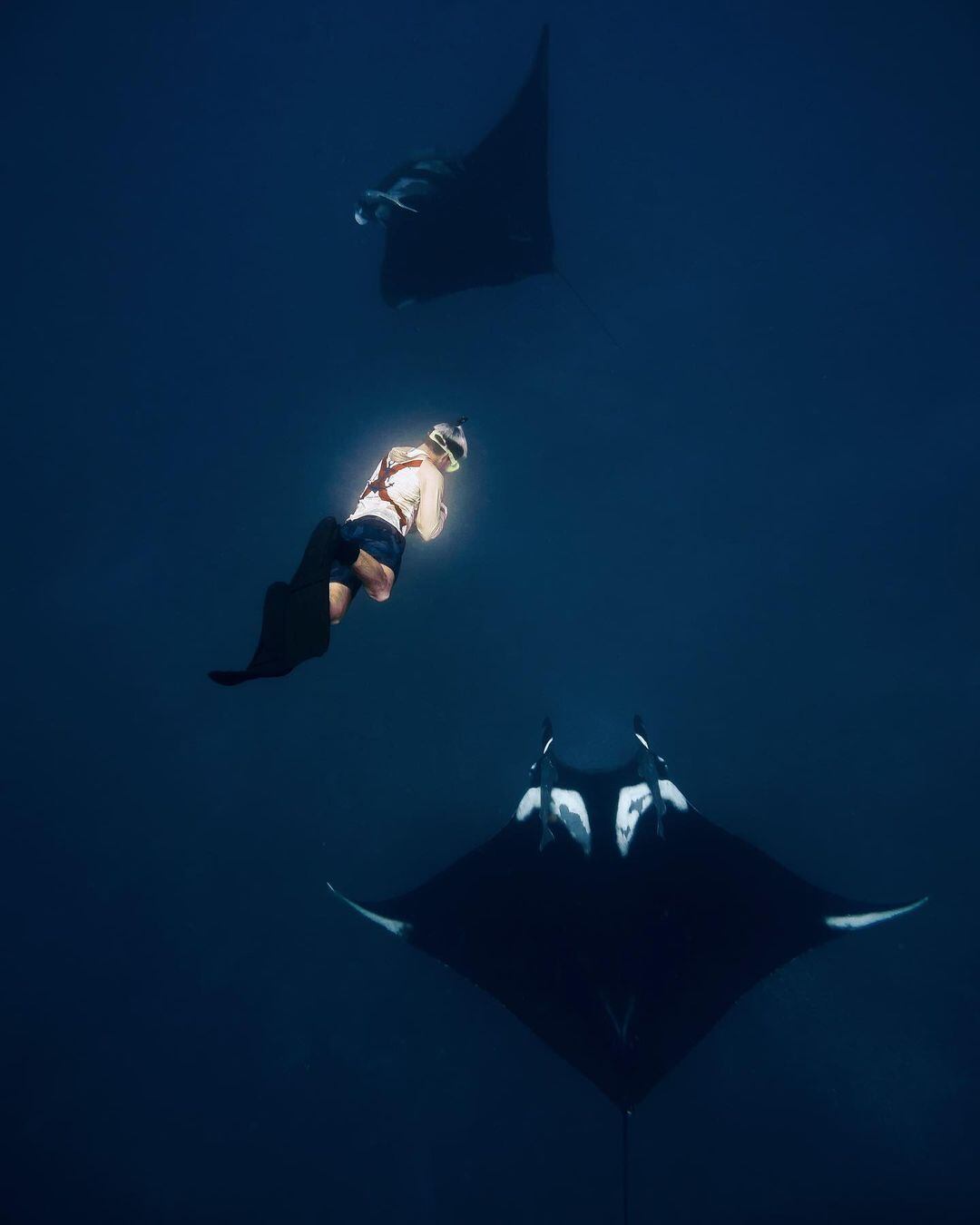 Nicolas Marin buceando junto a dos mantarrayas