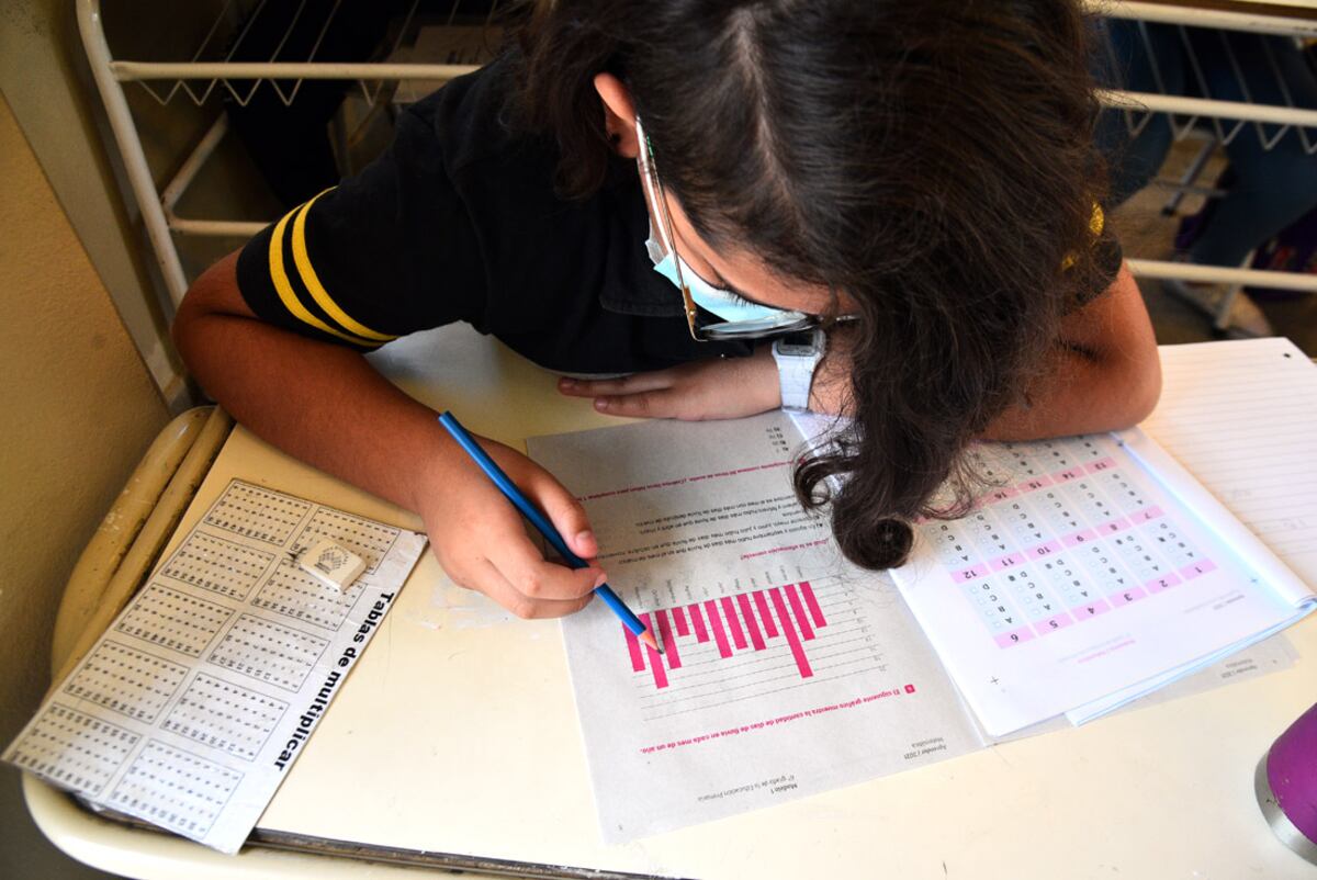 Pruebas Aprender 2021: así fue el desempeño de los alumnos cordobeses