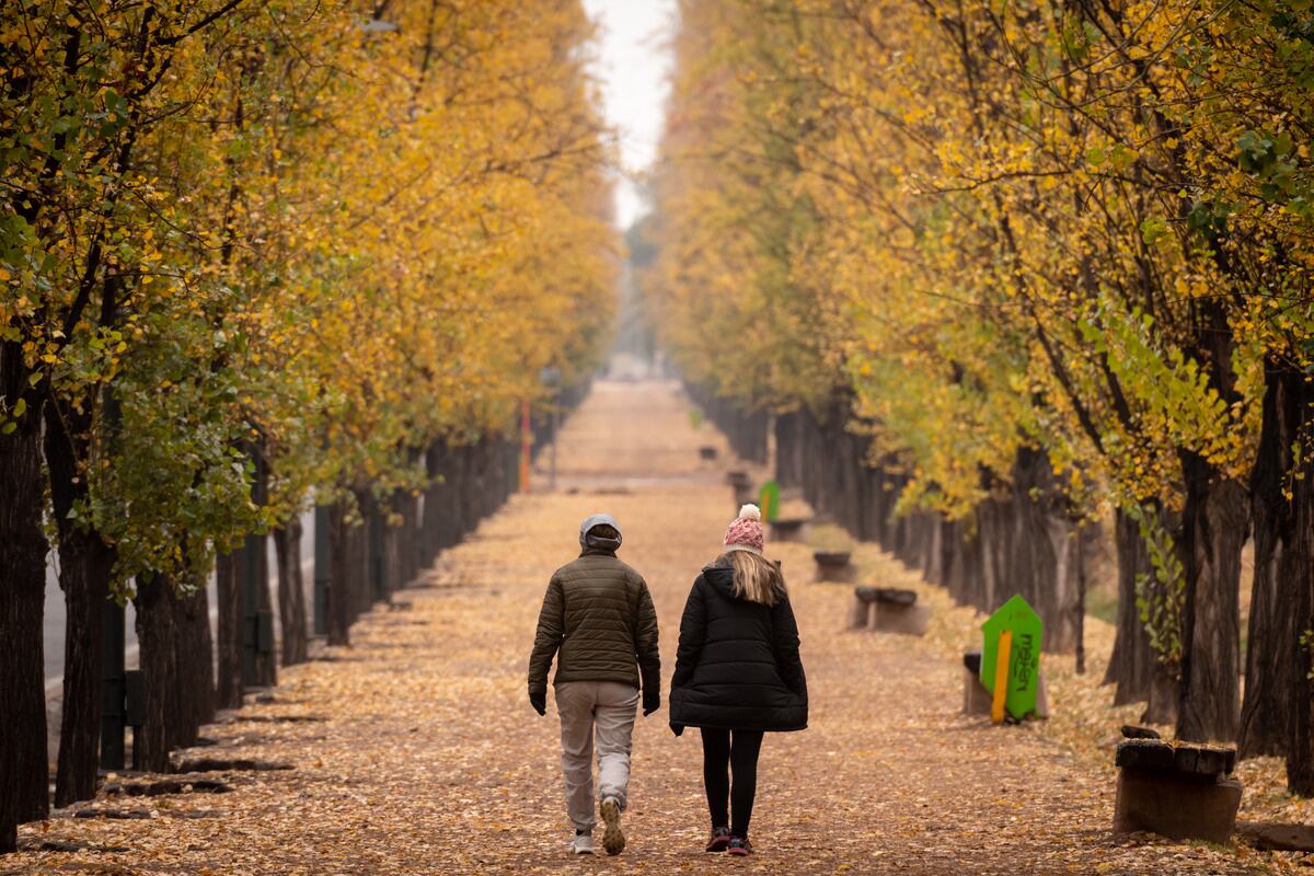 Parque General San Martín
Día lluvioso y frío en la Ciudad de Mendoza  

Foto: Ignacio Blanco / Los Andes 