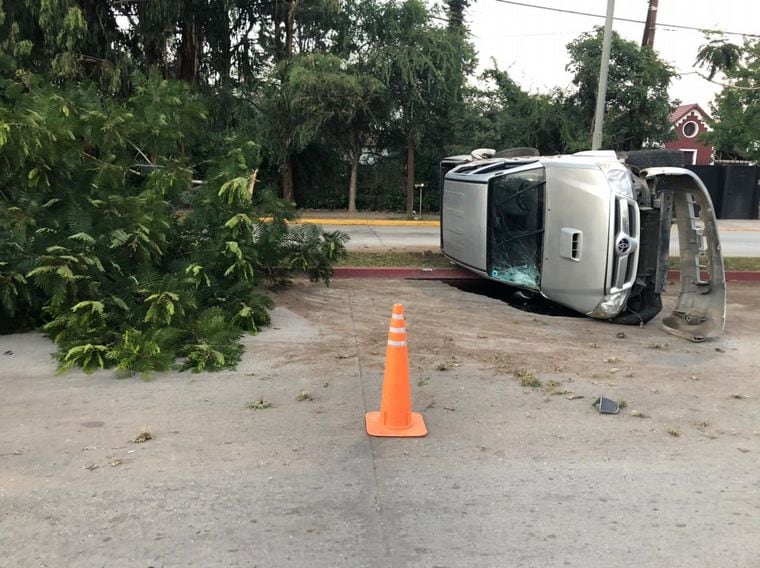 Una camioneta mordió el cantero de avenida Ricardo Rojas, dio varios tumbos y quebró un árbol.