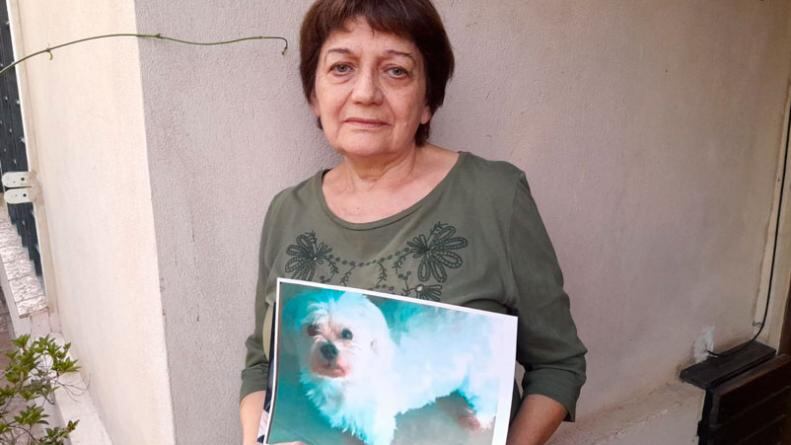 Le robaron el auto con su mascota adentro y sólo quiere recuperar a su perro. (El Doce)