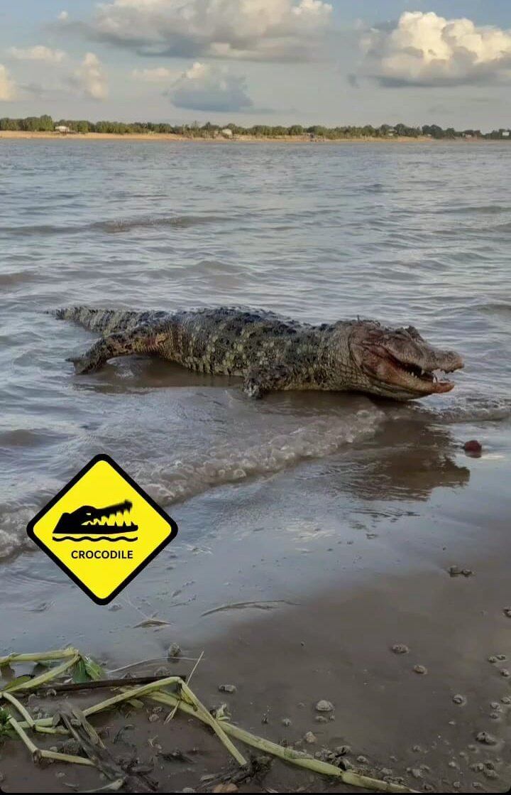 El cuerpo quedó tendido sobre la orilla oeste del río.