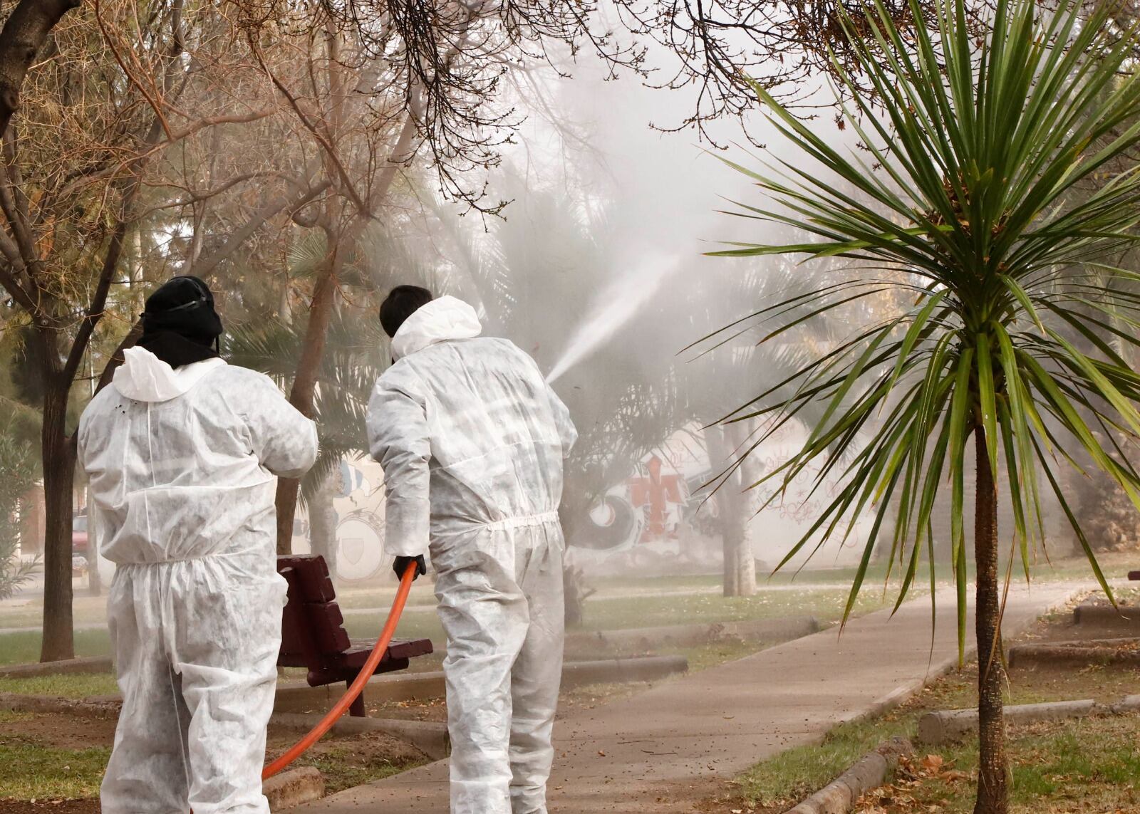 Prevención del dengue.