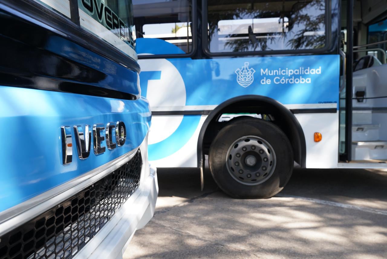 Así son los buses fabricados por Iveco que se incorporan a Tamse (Gentileza Iveco).