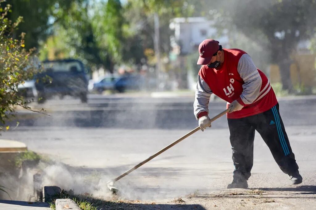 Servicios de vacunación, poda, limpieza y recolección de residuos.