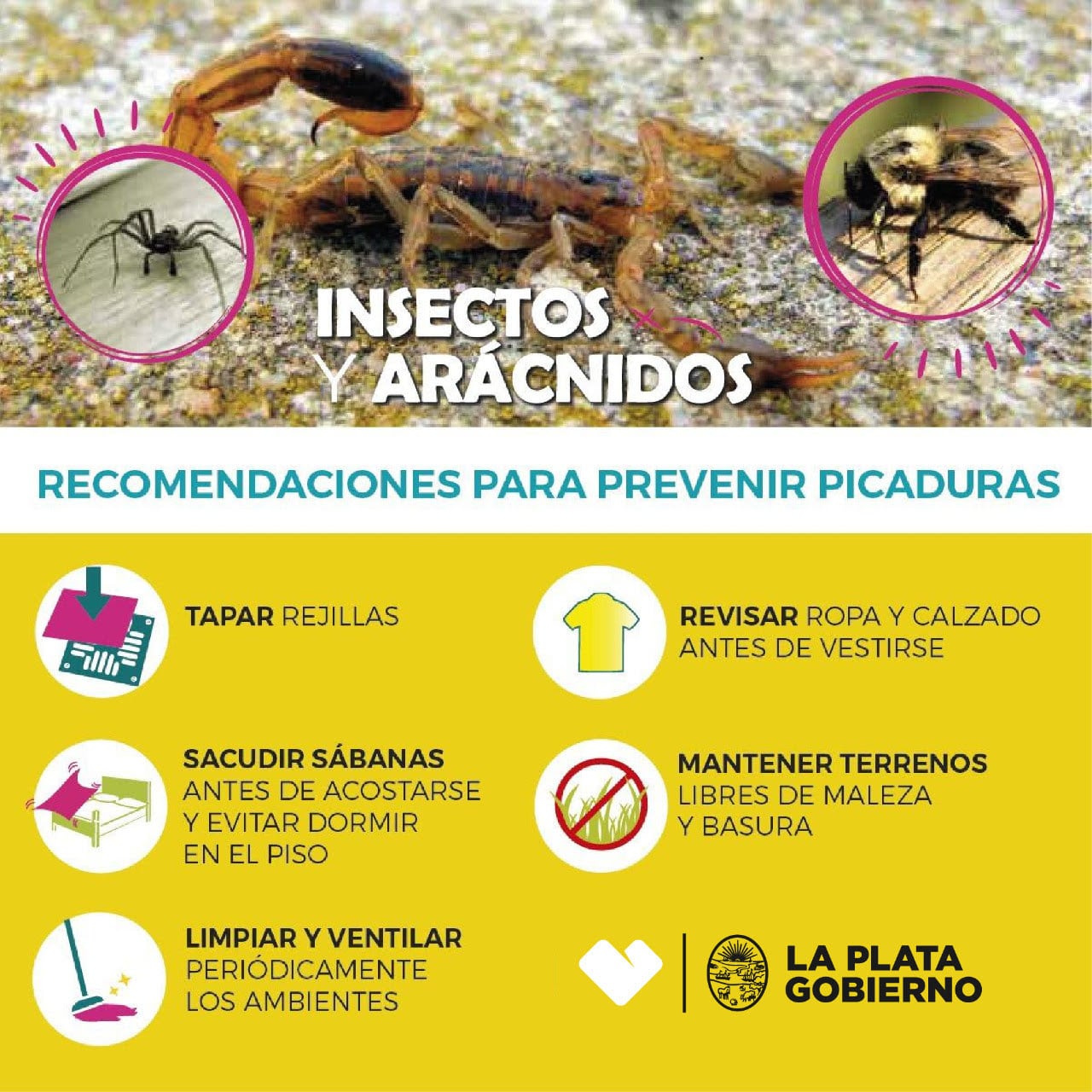 La Municipalidad brinda recomendaciones  para evitar picaduras.