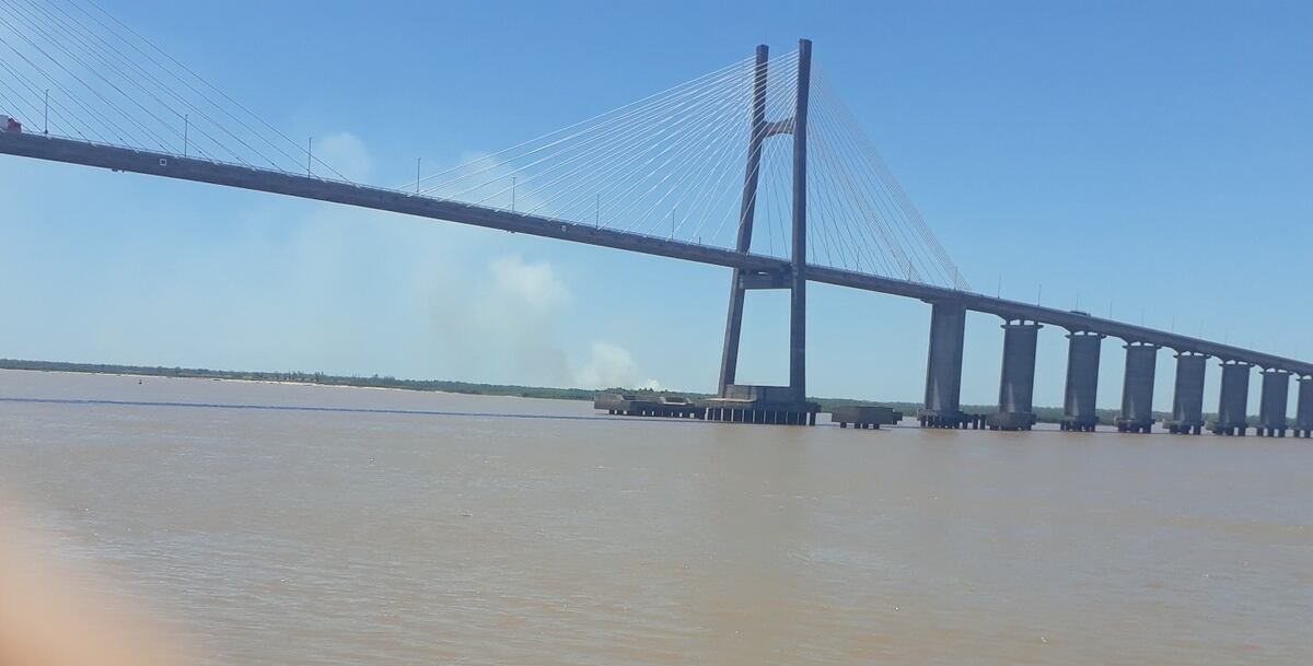 Este mes ya se registraron más de mil focos de fuego en las islas del Paraná