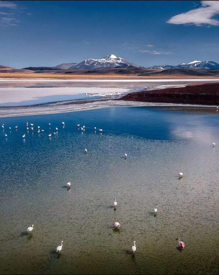 La flora y fauna de la reserva natural de La Rioja sorprende a todos los visitantes.