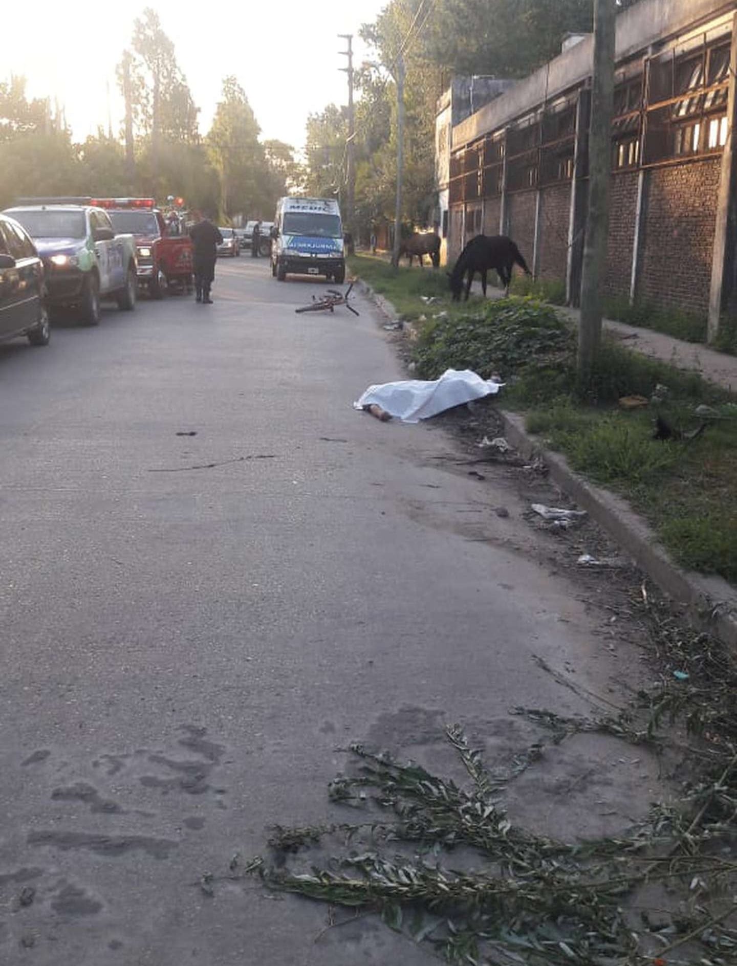 Un chico de 14 años atropelló y mató a un hombre en González Catán