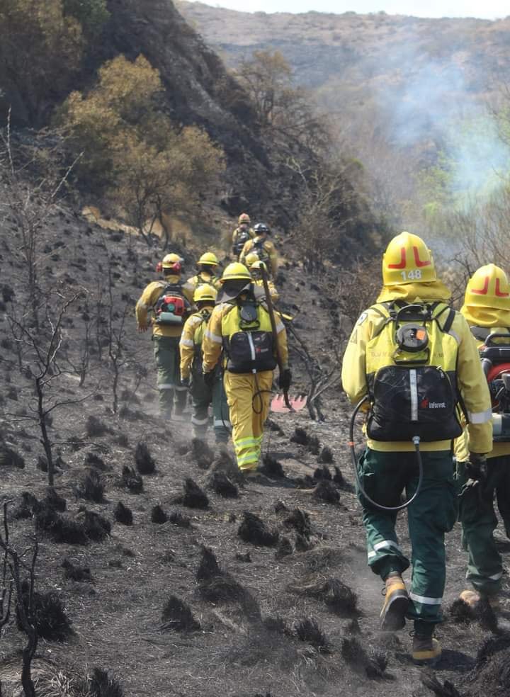 Brigadistas entrerrianas se sumaron al comando que combate los incendios en Córdoba