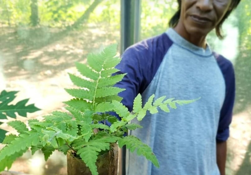 La comunidad Jasy Porã de Puerto Iguazú será Área Productora de Semillas Nativas.