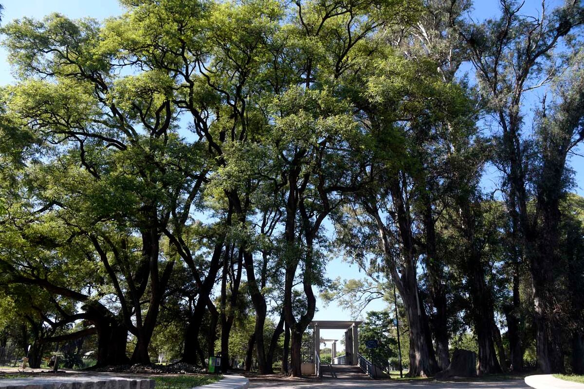 Madre de 4 hijos: quién es Tania, la mujer que había desaparecido en Córdoba