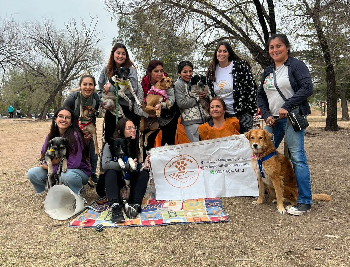 La organización cuenta con 21 voluntarios que aportan tiempo y dinero para el cuidado de las mascotas.