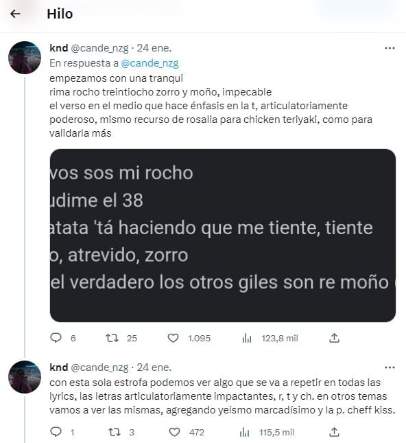 Una estudiante de letras analizó las canciones de La Joaqui y se volvió viral