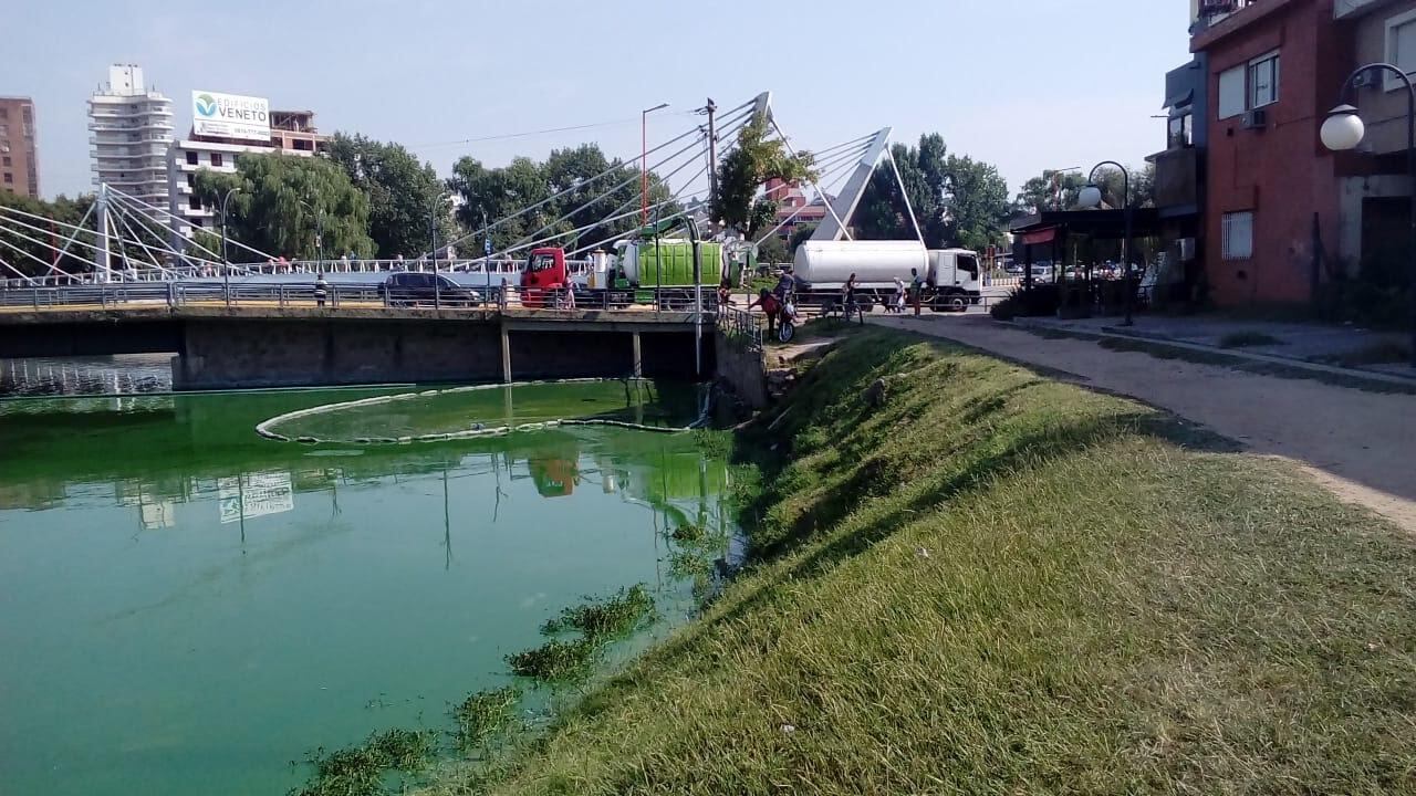 Las algas de todos los años con "un verde" que asusta y preocupa. Y el intento desde el Municipio para darle solución a la problemática. Marzo de 2020.