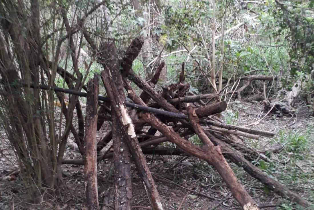 Vandalismo en el bosquecito Besaccia.