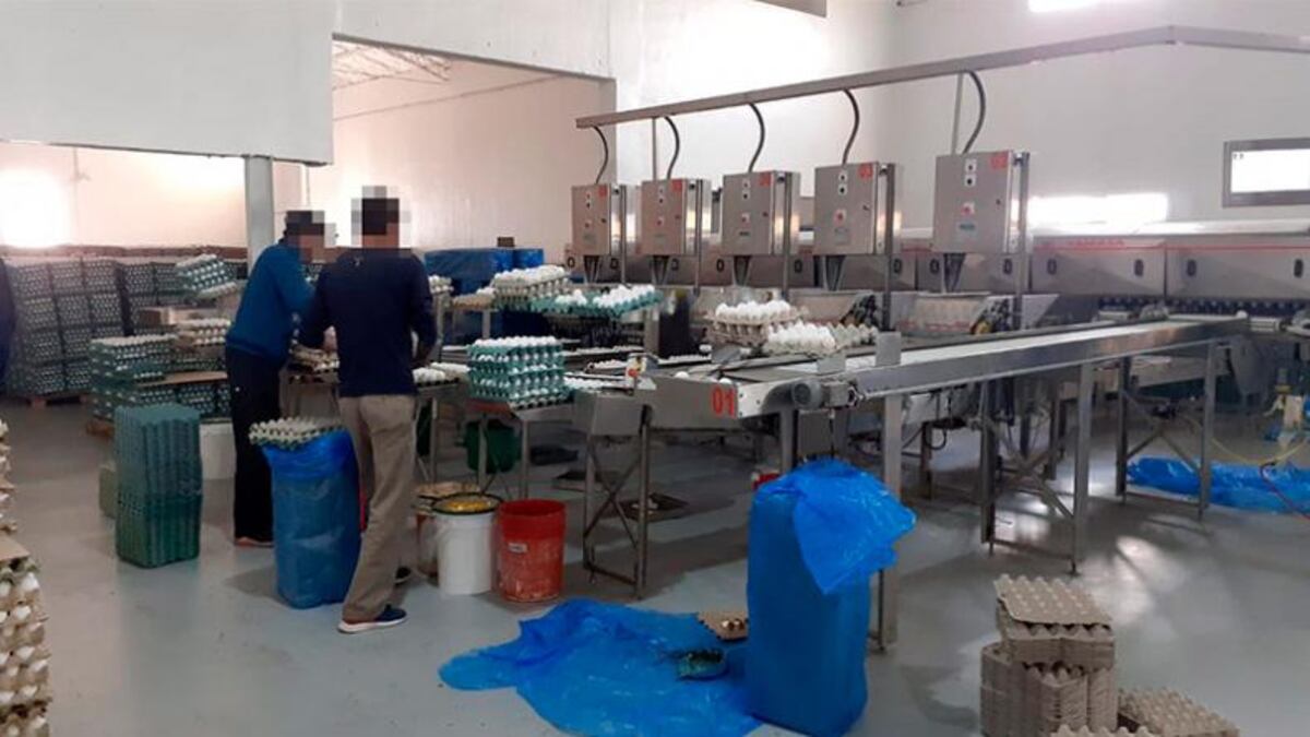Por denuncias de explotación laboral, allanaron una empresa en Córdoba