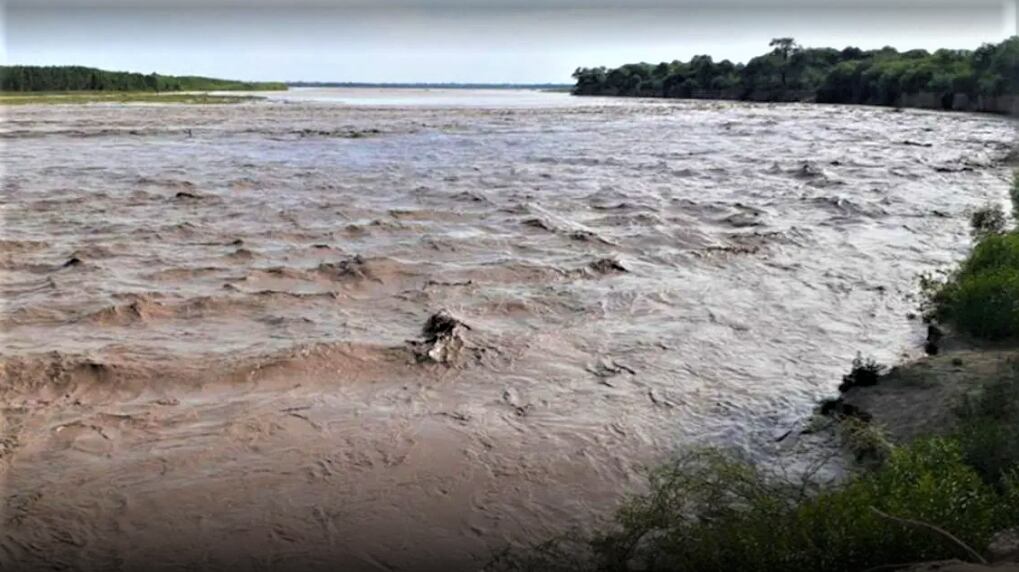 Peces que habitan en el río Pilcomayo tendría grandes concentraciones de metales pesados.