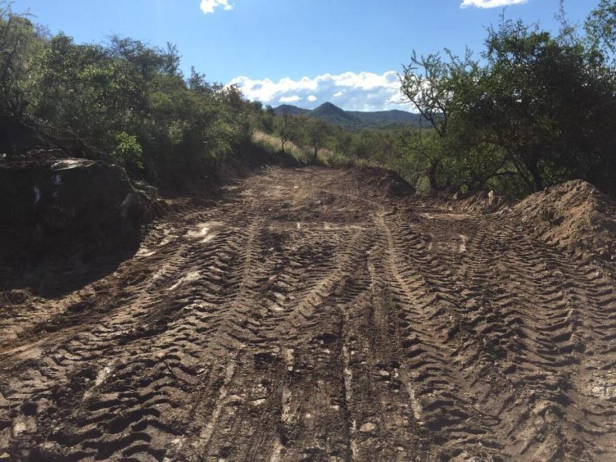 Vecinos de José de La Quintana reclaman que un loteo se realizó sobre el monte nativo