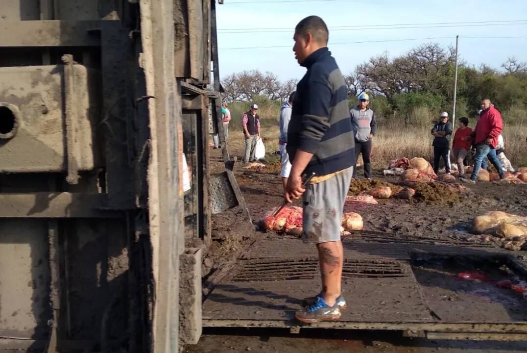 Varias vacas murieron por el vuelco registrado a la madrugada en el norte santafesino.