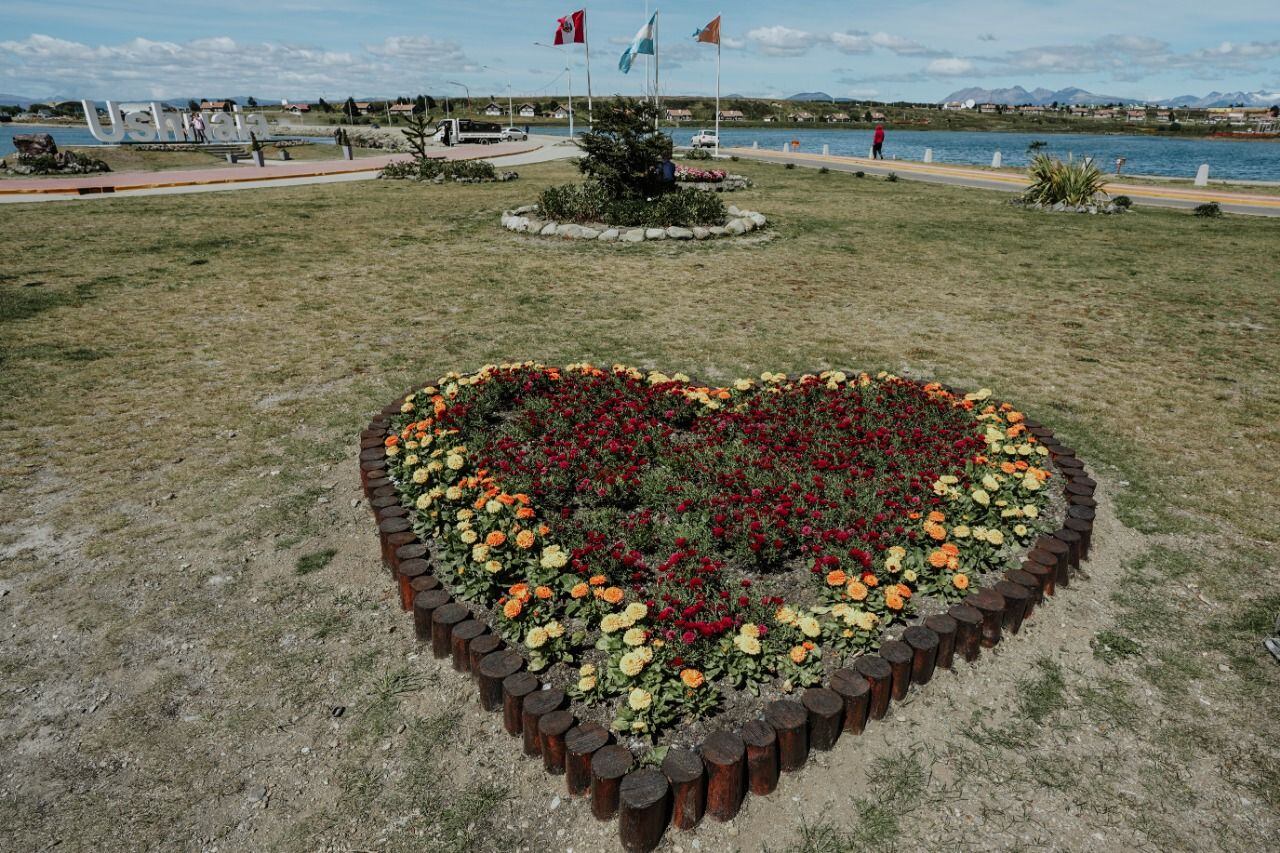 "La producción de plantas es del vivero Municipal, lo que nos permite trabajar con abastecimiento propio”, explicó el coordinador Juan Zanetti.