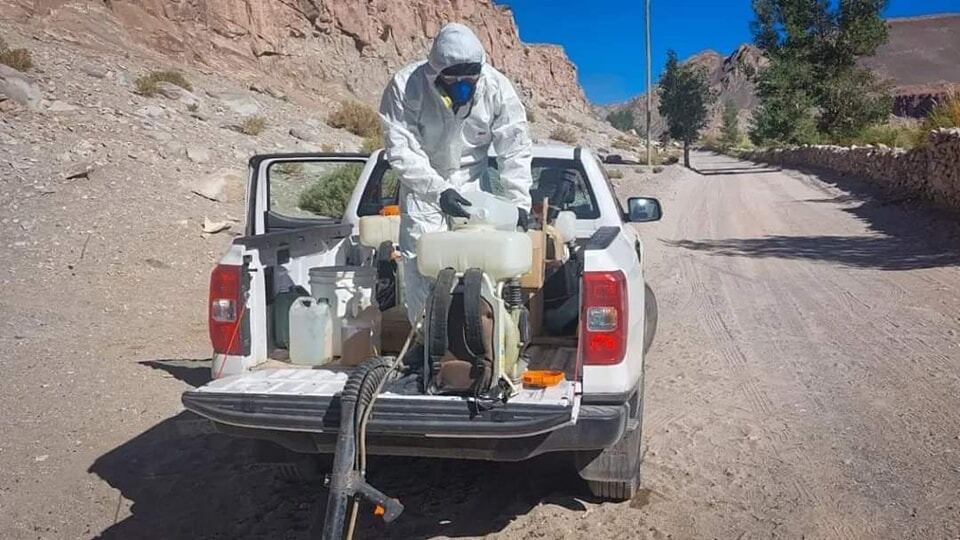 Se realizaron labores de fumigación, control y prevención de plagas.