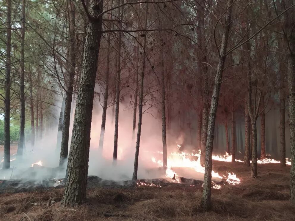 Lamentablemente, uno de los focos ígneos arribó a la Reserva Salto Encantado.