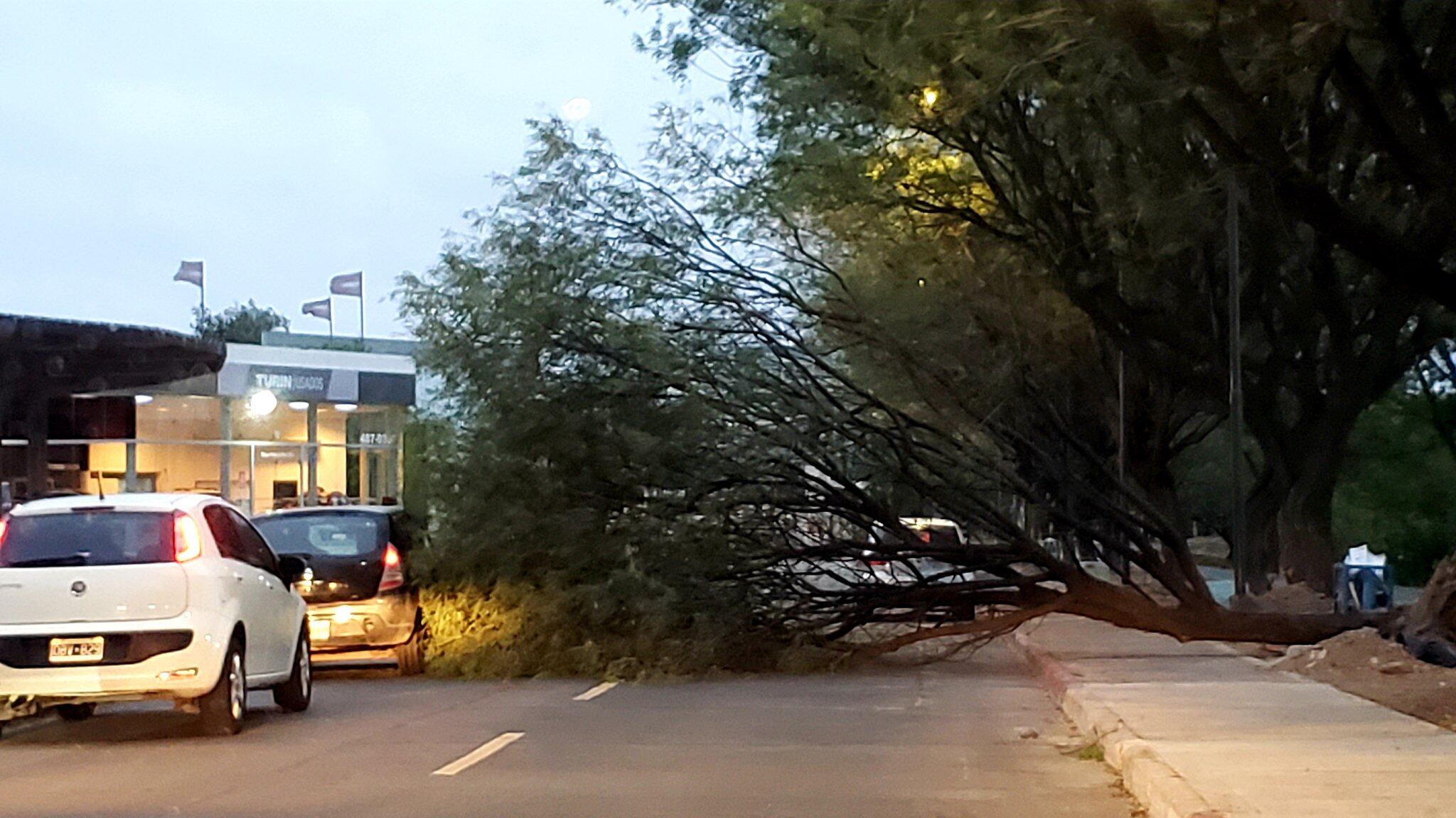 Consecuencias del viento en Córdoba.