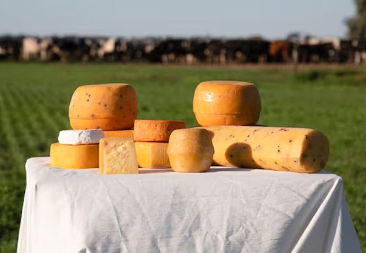 Cómo es el Camino del Queso, un recorrido que celebra la riqueza láctea de Córdoba