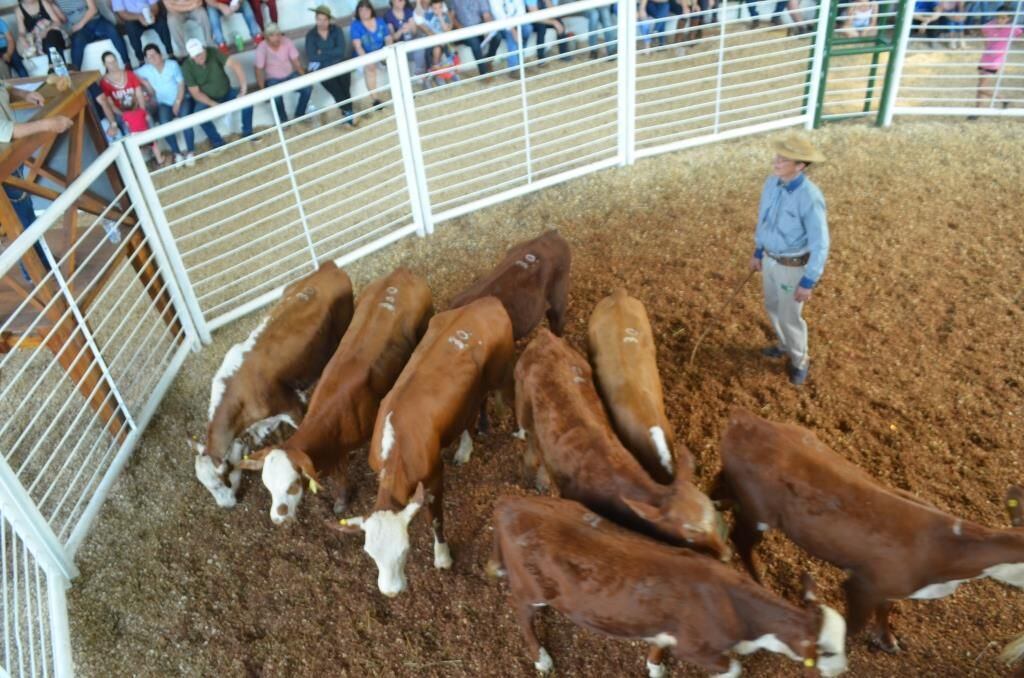 Muchas expectativas y esperanzas por la posible realización de la Fiesta Provincial del Agricultor.