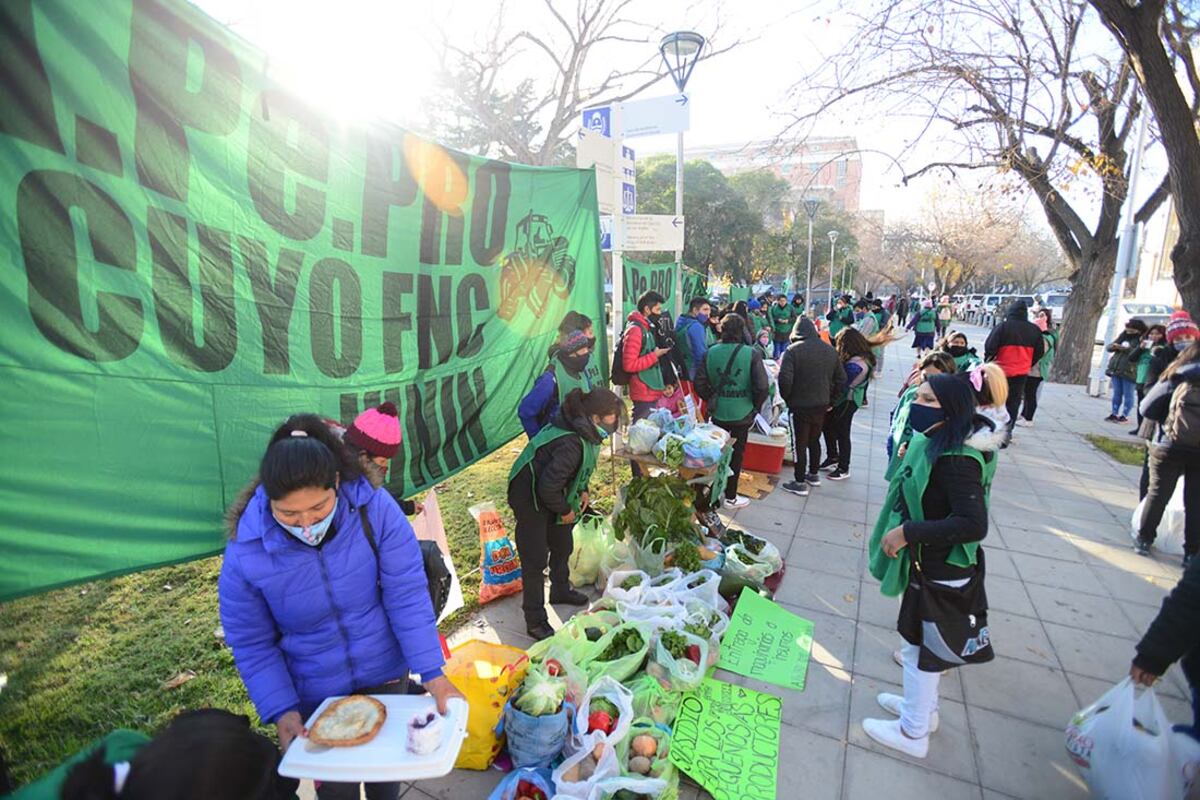 Productores agrícolas protestaron frente a Casa de Gobierno