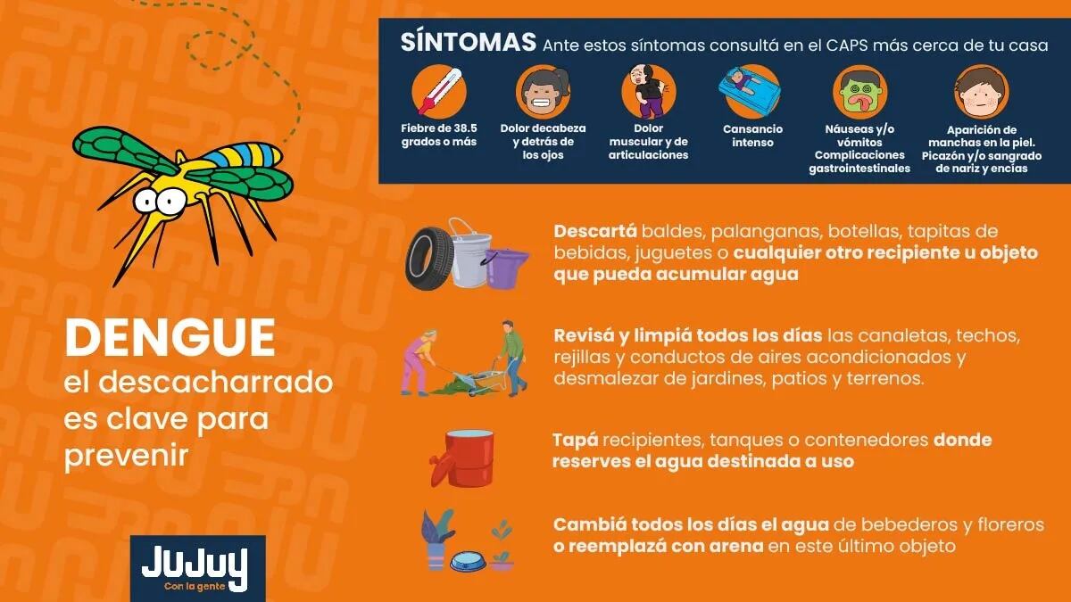 Instructivo difundido por el Ministerio de Salud para combatir la proliferación del mosquito transmisor del dengue.