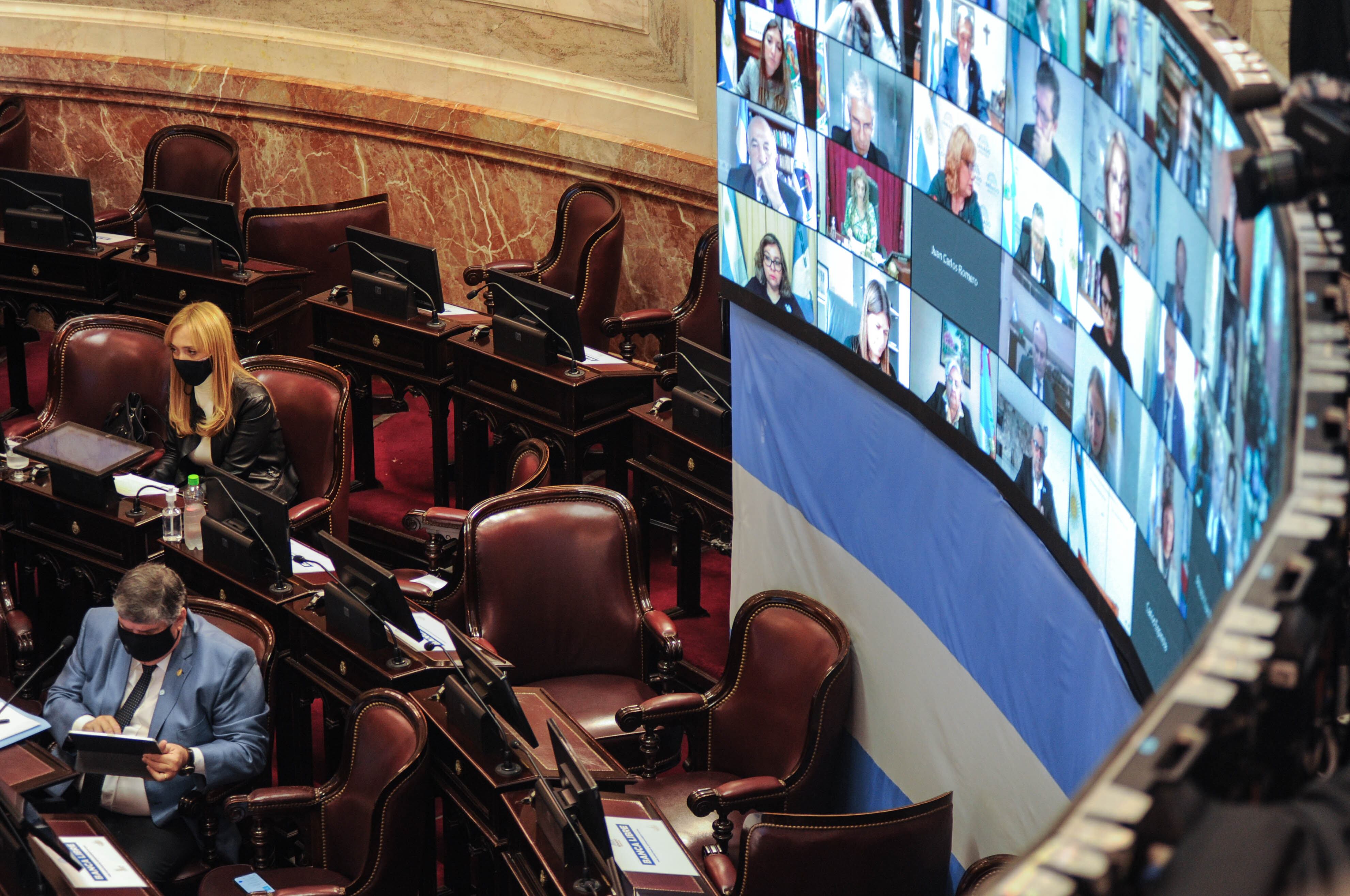 Anabel Fernandez Sagasti de Mendoza en el Senado . Argentina Foto Federico Lopez Claro