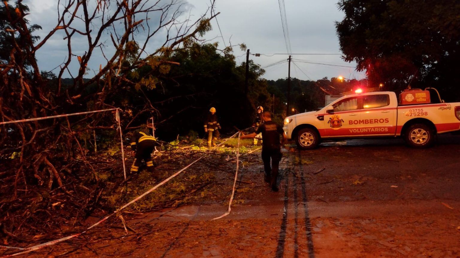 Fuerte tormenta causó caídas de árboles y postes de luz en Oberá.