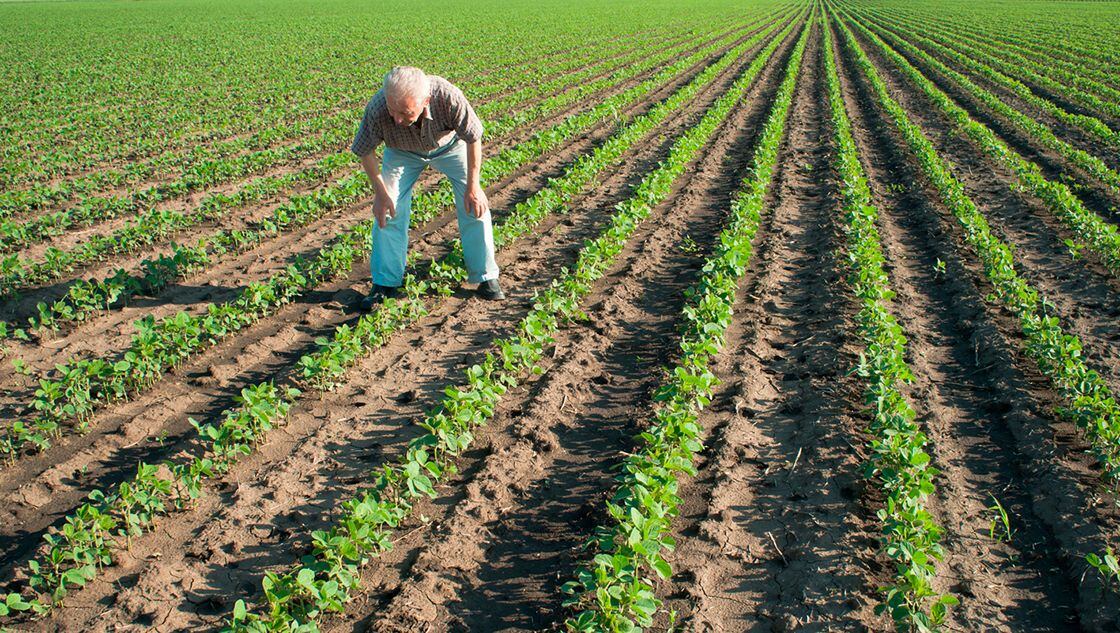 Nuevas tecnologías aplicada a la agricultura mediante Bioinsumos