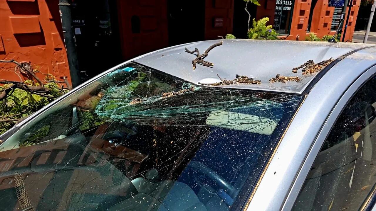 Los dueños de los autos culpan a la Municipalidad por el incidente.