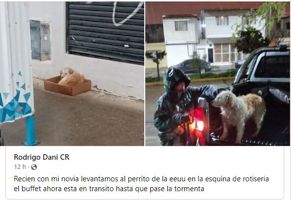 Algunos vecinos de Comodoro le dieron techo a perritos callejeros en medio de las fuertes lluvias.