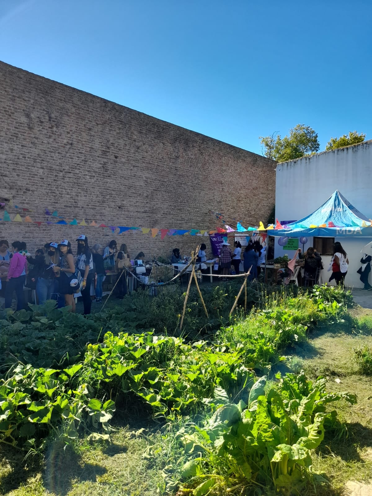 "Festival Día de las Mujeres" en la Dirección de Mujeres Género y Diversidad