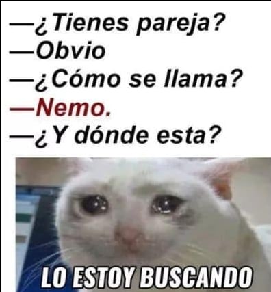 Nunca falla el meme con la carita de un gatito llorando y una frase que demuestre su desconsuelo.